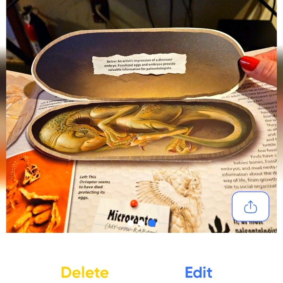 Extreme Dinosaurs book - Picture 3 of 3